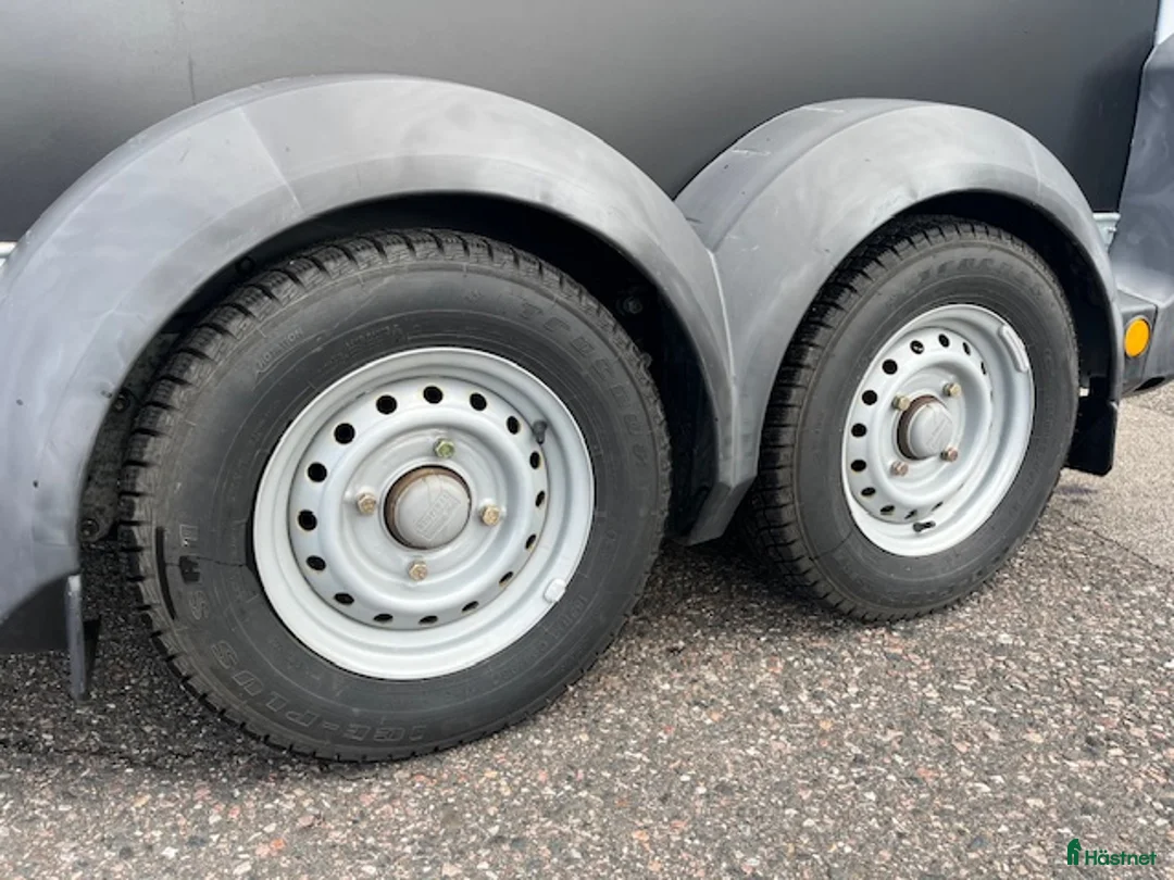 Hästtransporter  fordon & transport till salu: Ifor Williams HB403 Enhästars transport i Svedala - Annons 2