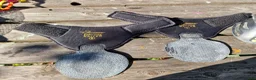 Övrig Hästutrustning hästutrustning till salu: Scoot boots & gaiters  - Annons 7