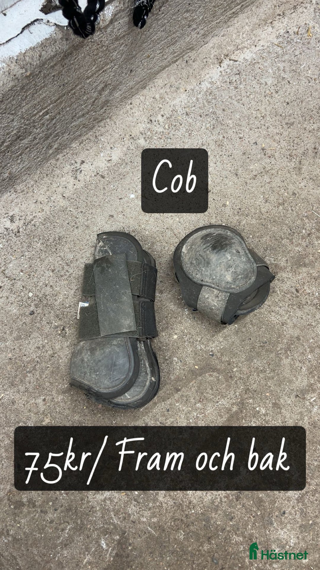 Benskydd hästutrustning till salu: Senskydd COB i Sturefors - Annons 1