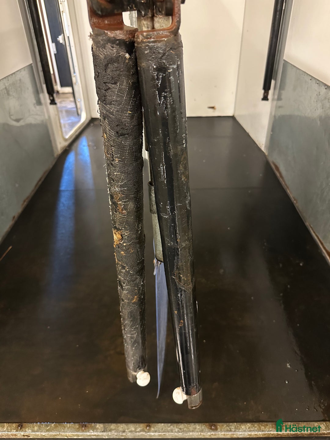 Hästtransporter  fordon & transport till salu: Thule Excellent årsmodell 2007 i Alunda - Annons 7