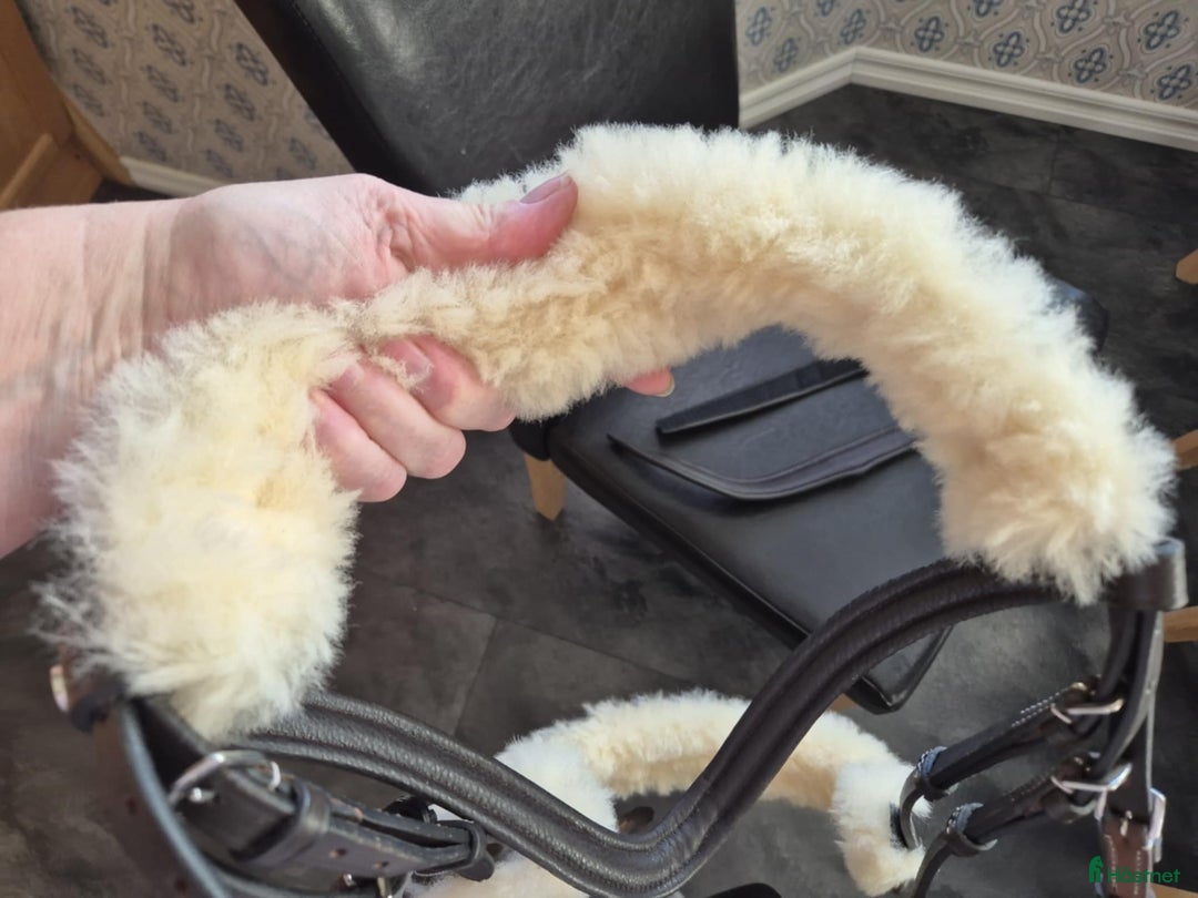 Träns hästutrustning till salu: Brunt luddträns från Horze i storlek x-full i Vännäs - Annons 3