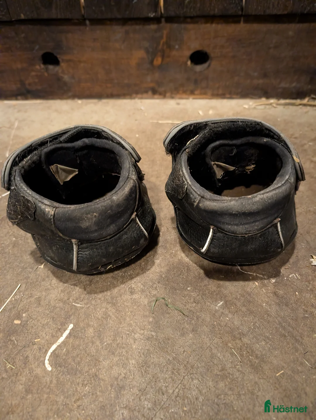 Övrig Hästutrustning hästutrustning till salu: EF stl 10 i Boliden - Annons 2