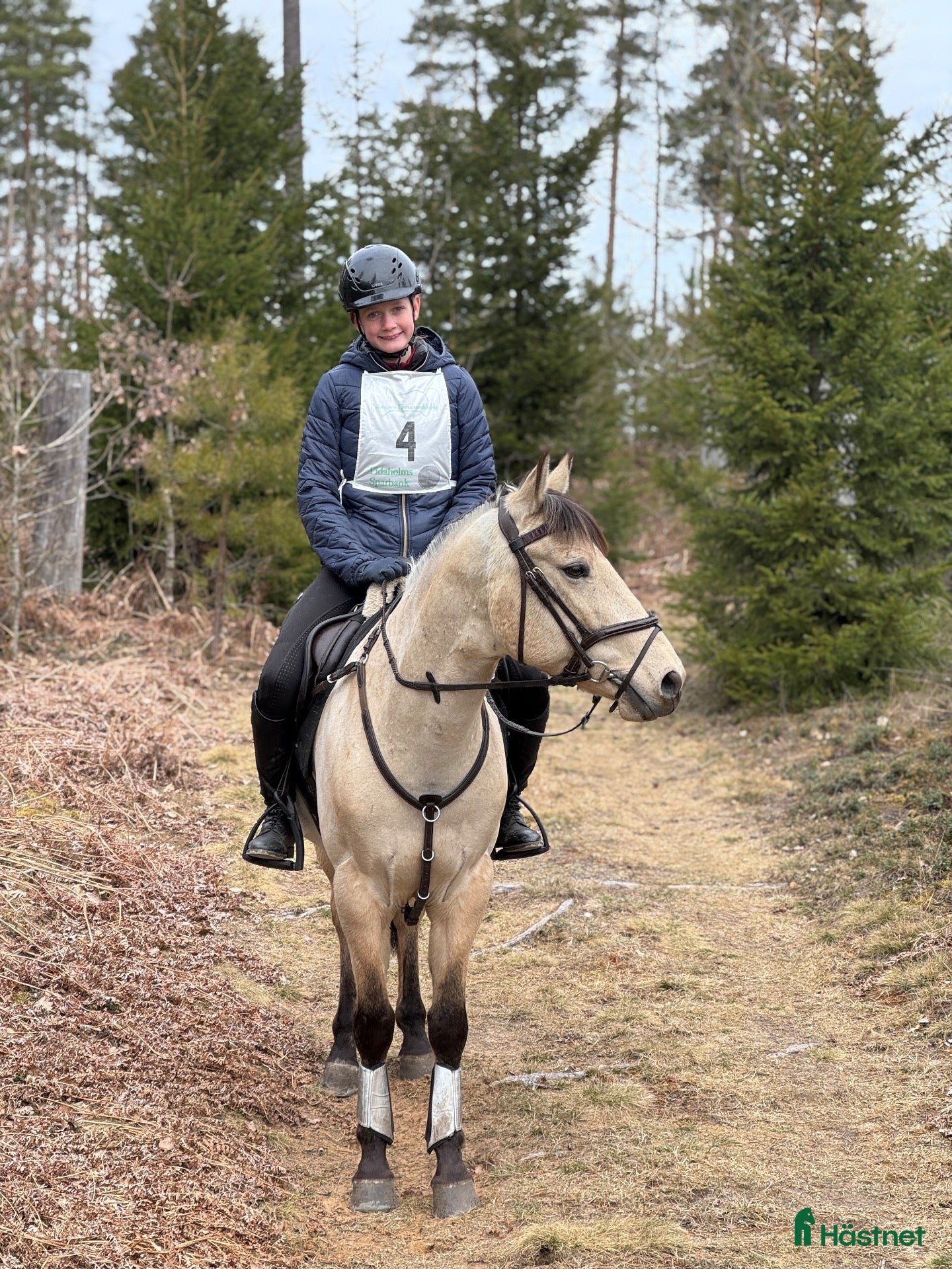  hästar Trevlig c-ponny - Annons 2