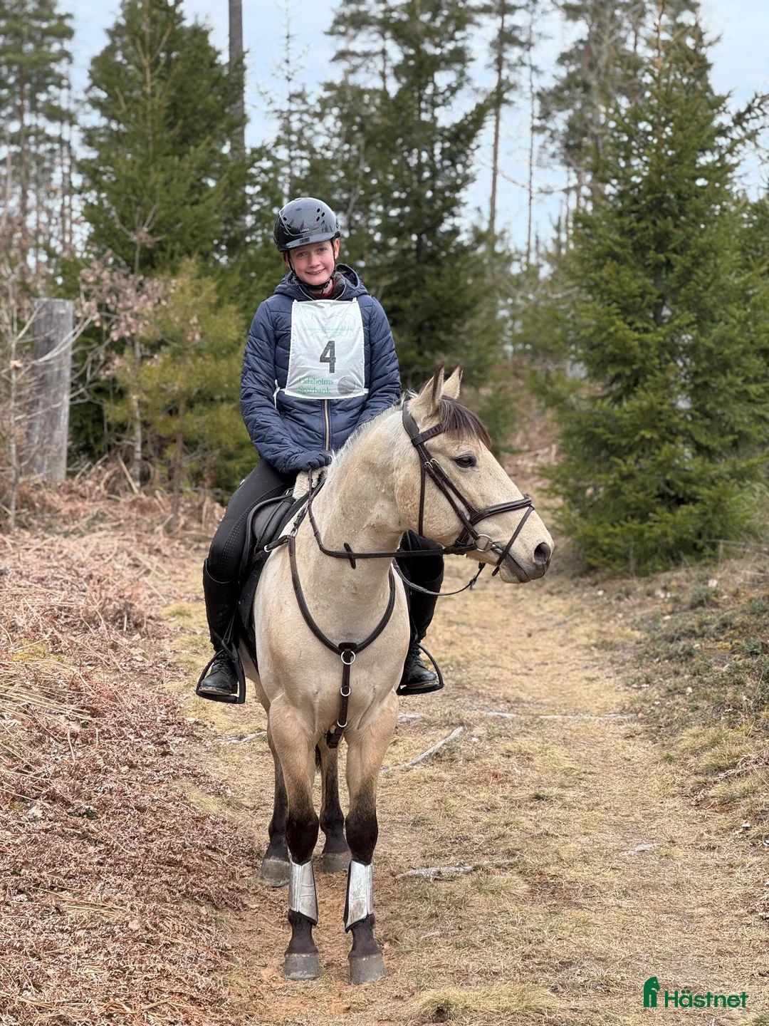 Allround hästar till salu: Trevlig c-ponny - Annons 2