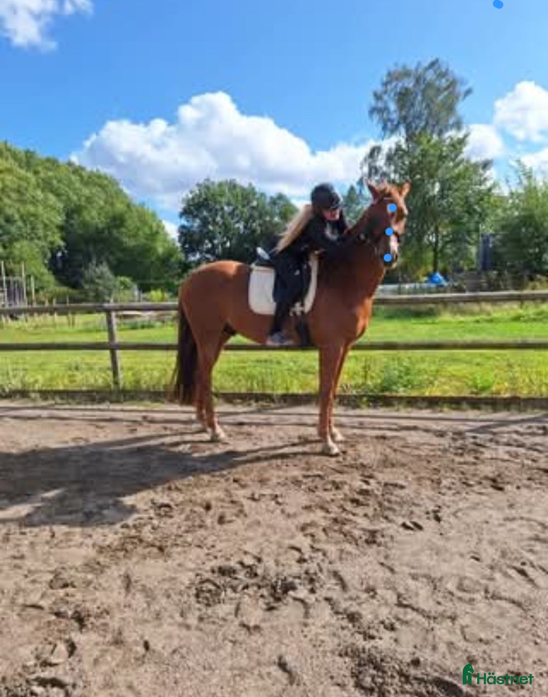  stallplats finnes: Stallplatser utanför Stehag i Stehag - Annons 3