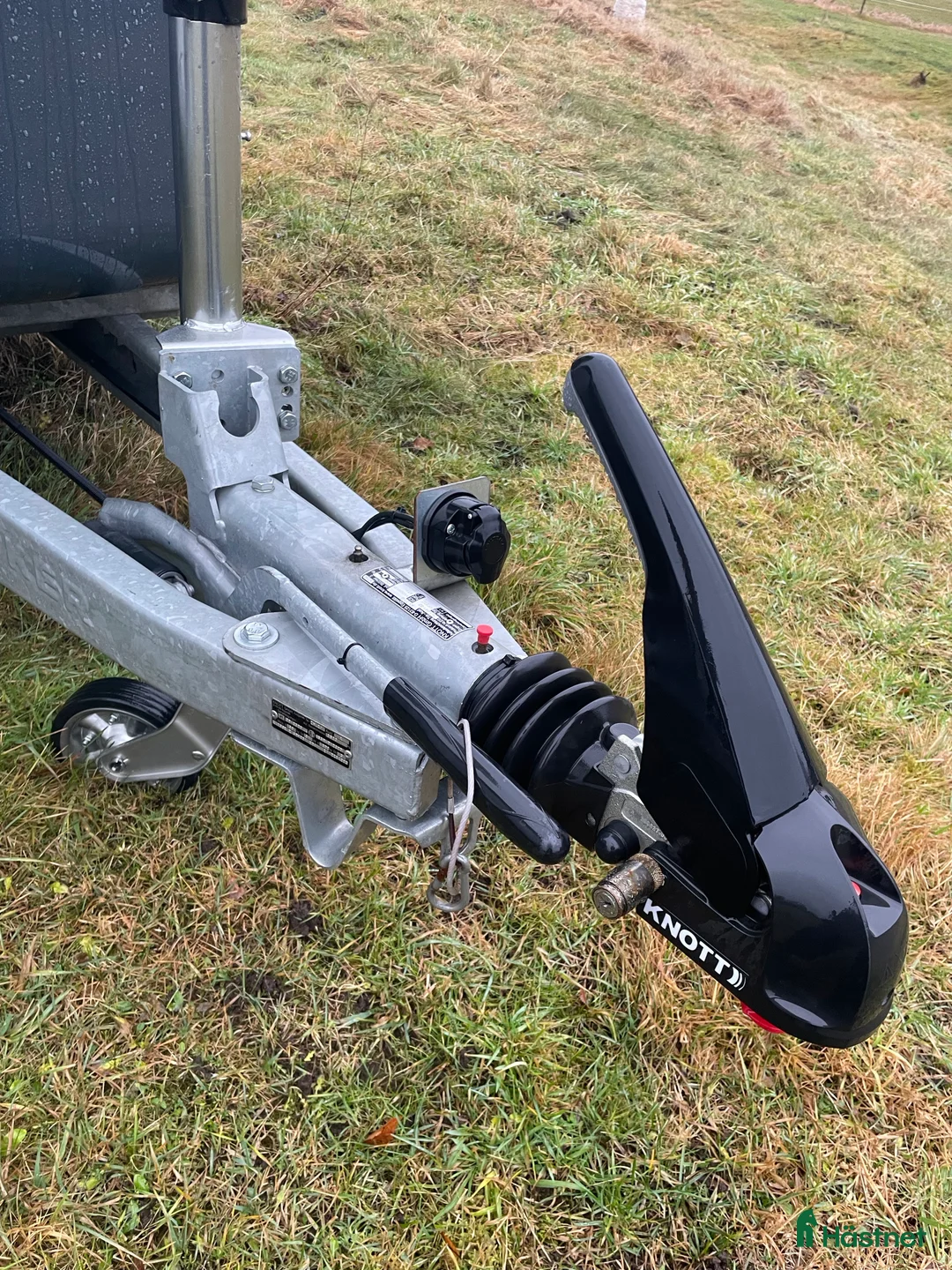 Hästtransporter  fordon & transport till salu: Clear round Alu - Annons 7