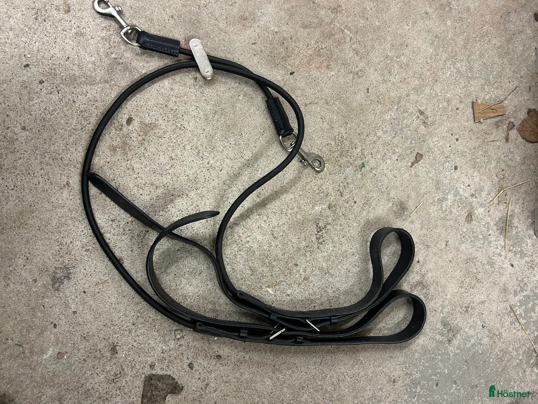 Övrig Hästutrustning hästutrustning till salu: Blandad utrustning? i Gävle - Annons 16