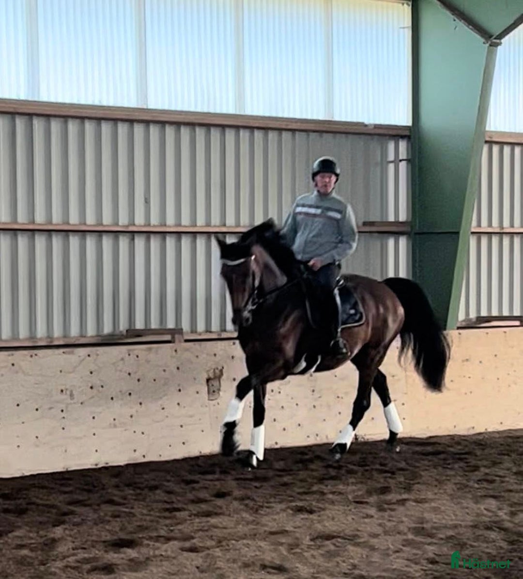  medryttarhäst finnes: Medryttare sökes i Rimbo - Annons 1