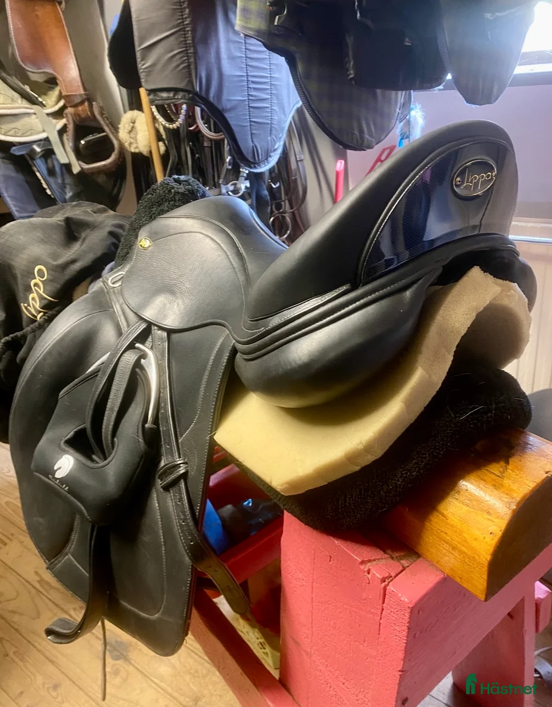 Sadlar hästutrustning till salu: Lippo Azzario Supreme i Järpås - Annons 2