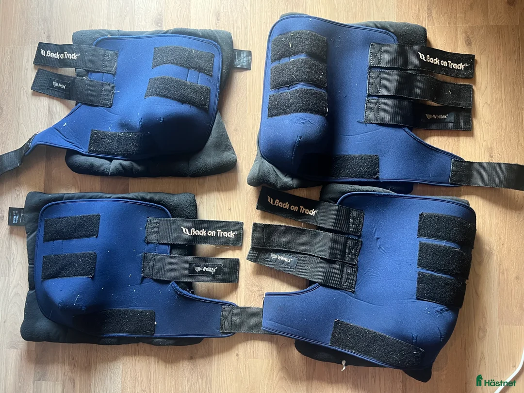 Benskydd hästutrustning till salu: Back on Track stallbandage - Annons 2