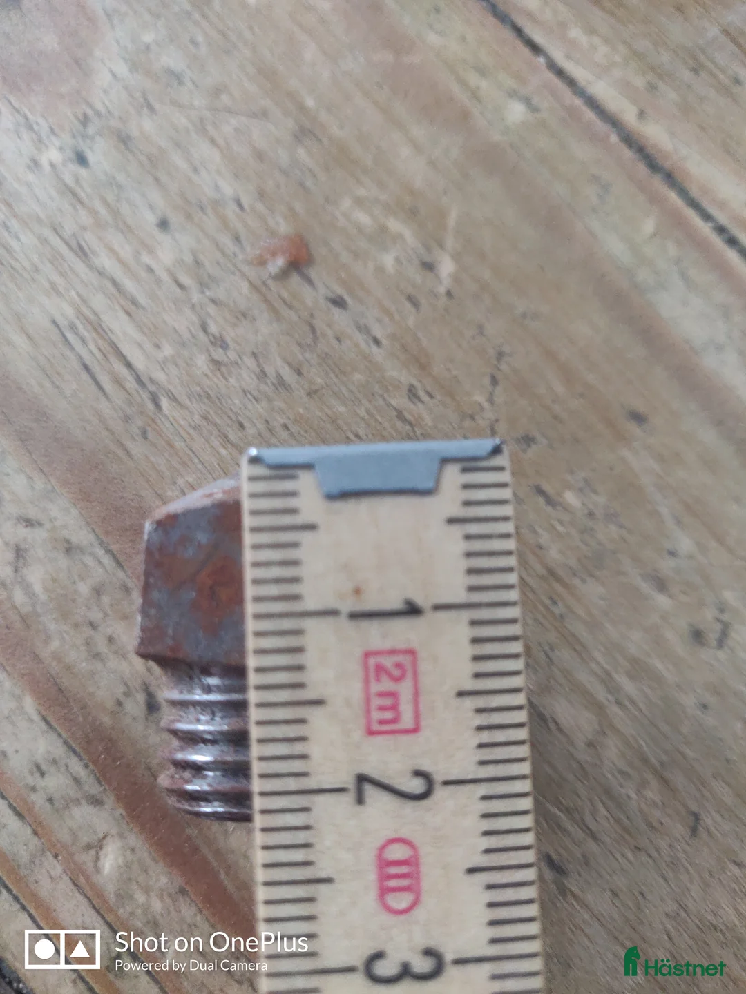 Övrig Hästutrustning hästutrustning till salu: Brodd 7/16 - Annons 3