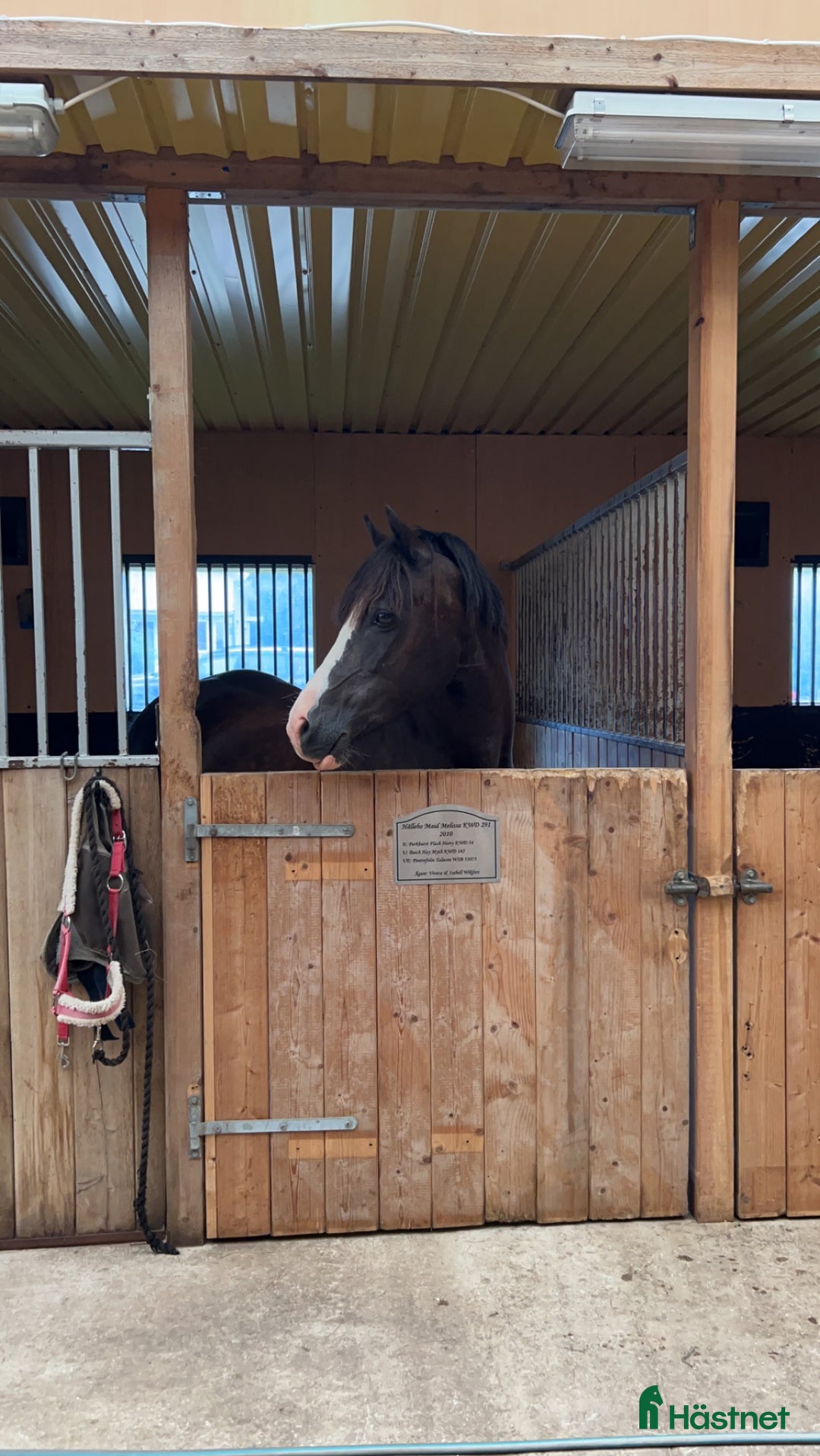  stallplats finnes: Stallplats hos Angelstar stuteri i Timmele - Annons 4