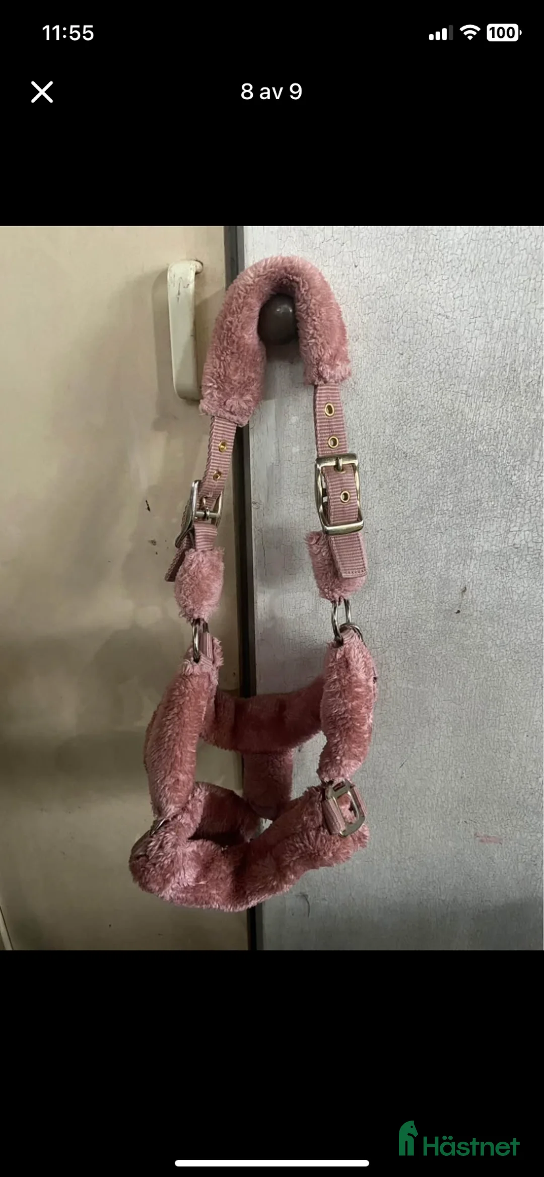 Övrig Hästutrustning hästutrustning till salu: Grimmor i Eskilstuna - Annons 2