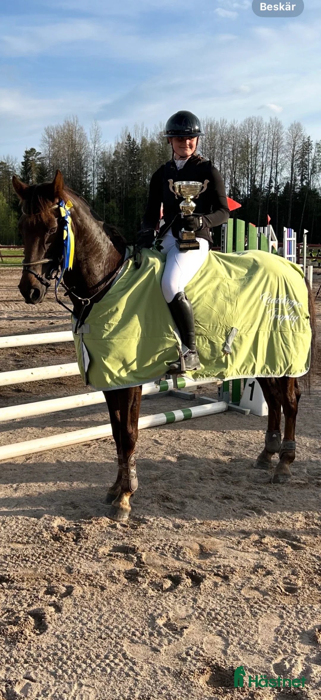 Hoppning hästar till salu: Maxad d-ponny  - Annons 1