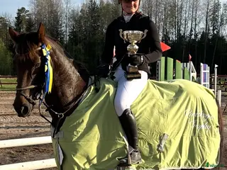 hästar Maxad d-ponny - Annons 4