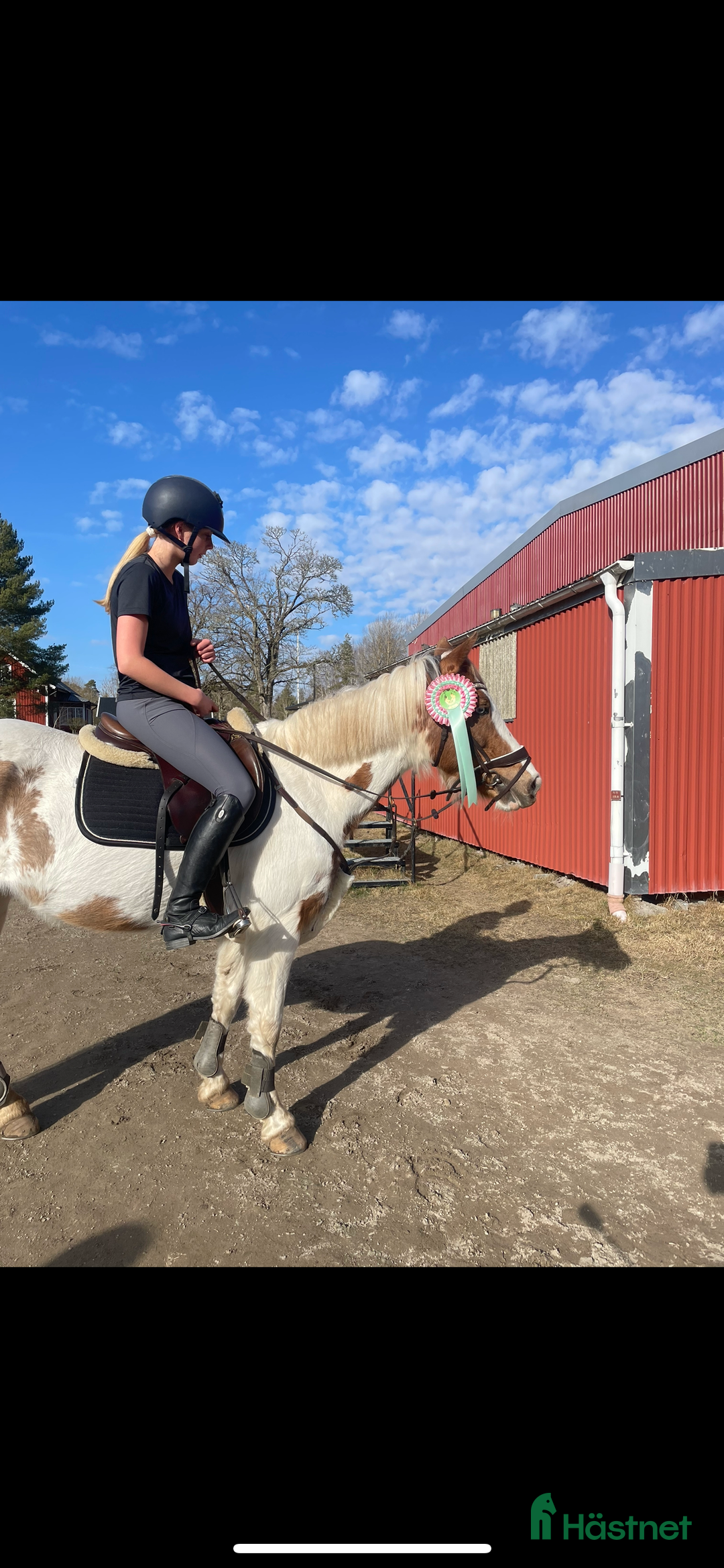 Allround hästar till salu: Foder ponny i Tidaholm - Annons 2