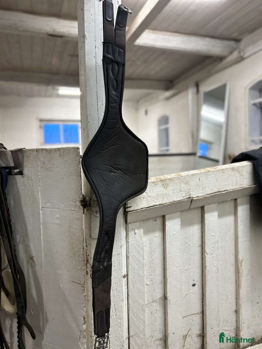 Sadeltillbehör hästutrustning till salu: Kavalkade sadelgjord med magplatta i Trelleborg - Annons 5