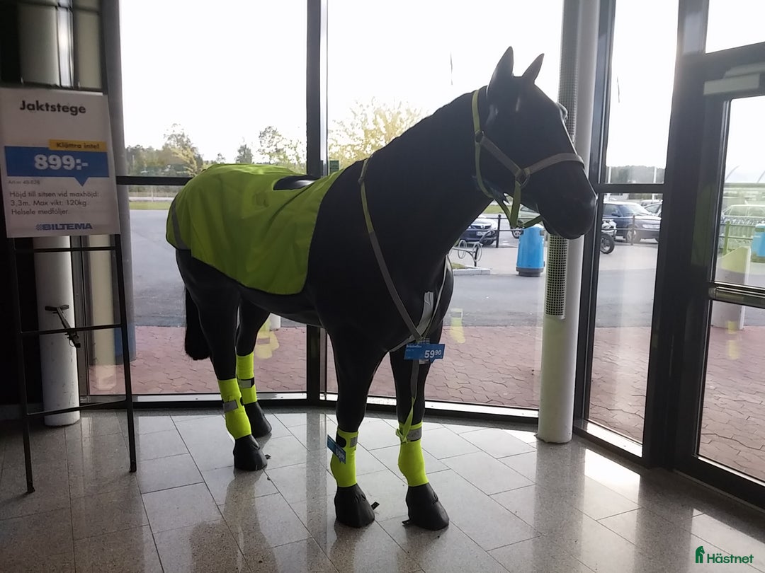 Hästinspirerad heminredning övrig utrustning till salu: Unika glasfiberhästar i naturlig storlek i Luleå - Annons 20