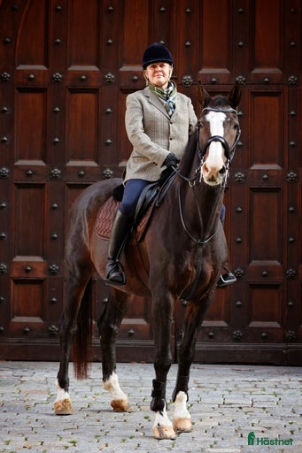 Galleribild {{count}}