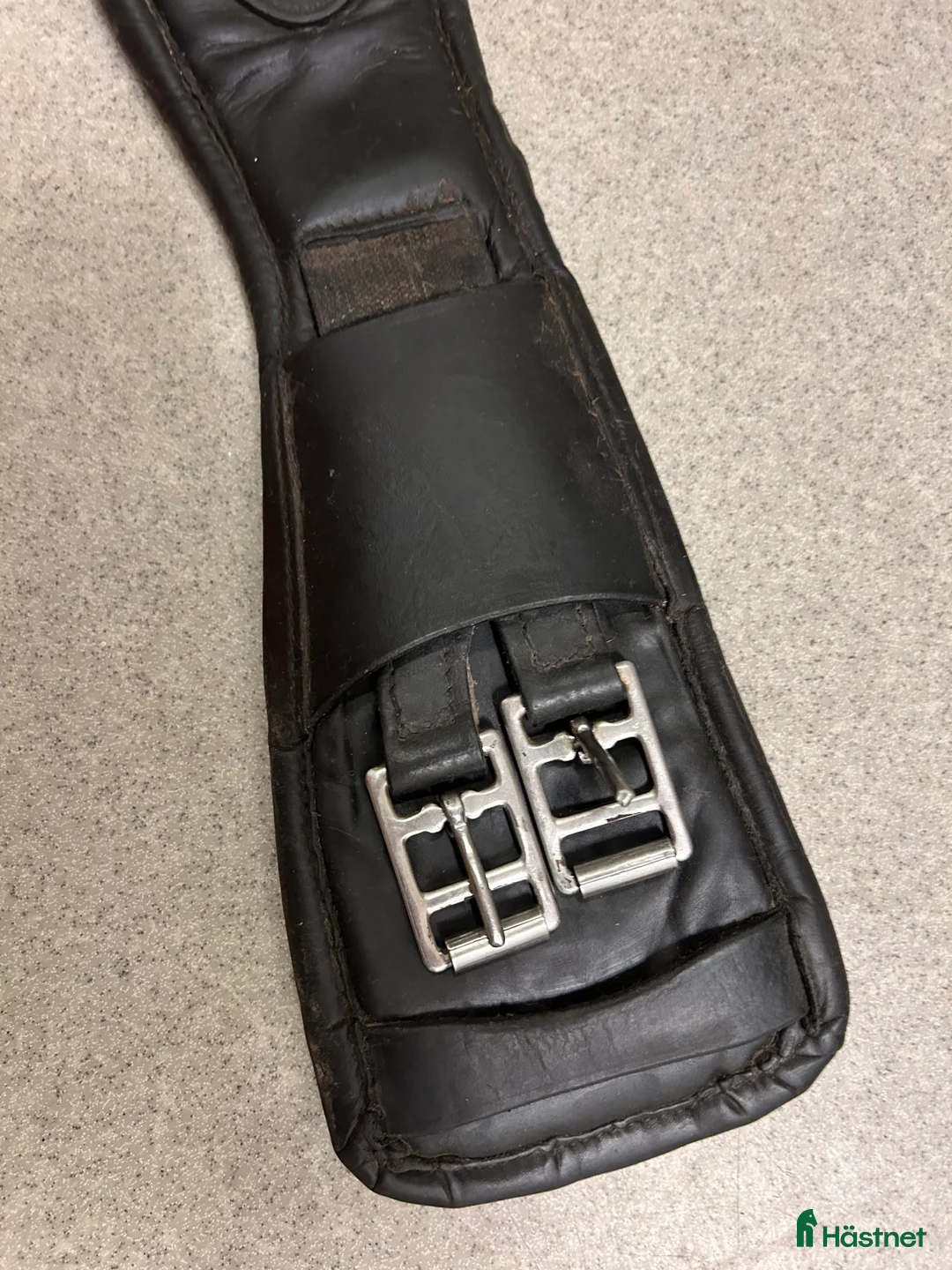 Sadeltillbehör hästutrustning till salu: Treadstone sadelgjord säljes - Annons 3