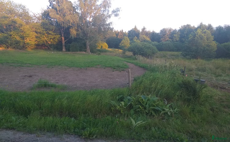  avel i Alingsås - Annons 2