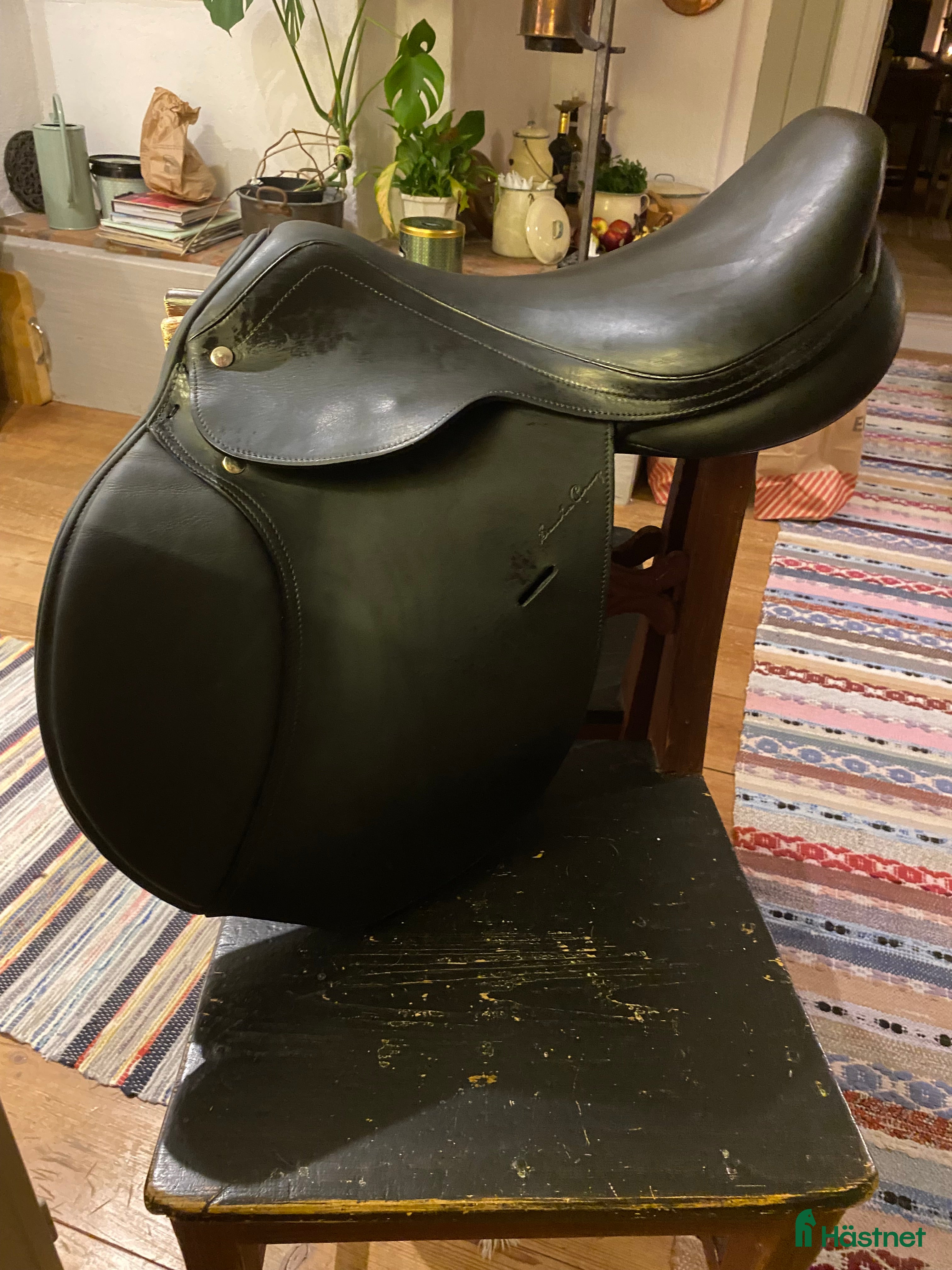 Sadlar hästutrustning till salu: Svart Santa Cruz Celine  i Arbrå - Annons 2