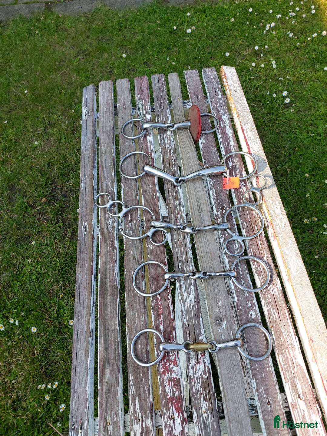 Sadlar hästutrustning till salu: hästutrustning i Visingsö - Annons 11