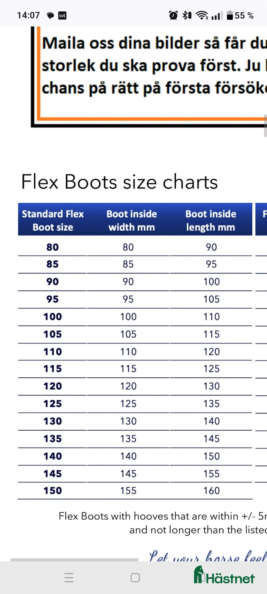 Övrig Hästutrustning hästutrustning till salu: Hovboots, joggingskor, Flex Hofboot, strl. 90 - Annons 4