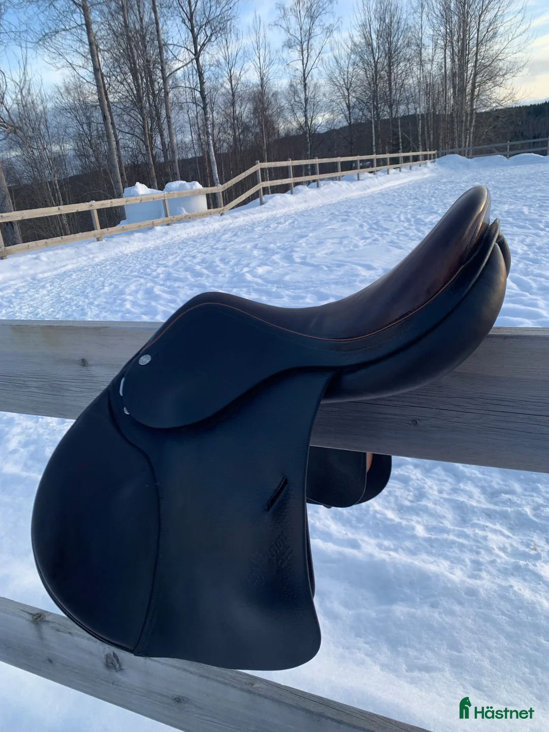 Sadlar hästutrustning till salu: Equipe Expression 15,5 tum i Falun - Annons 8