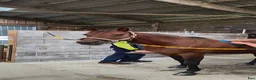 Övrigt hästar till salu: Ridtravare valack - Annons 1