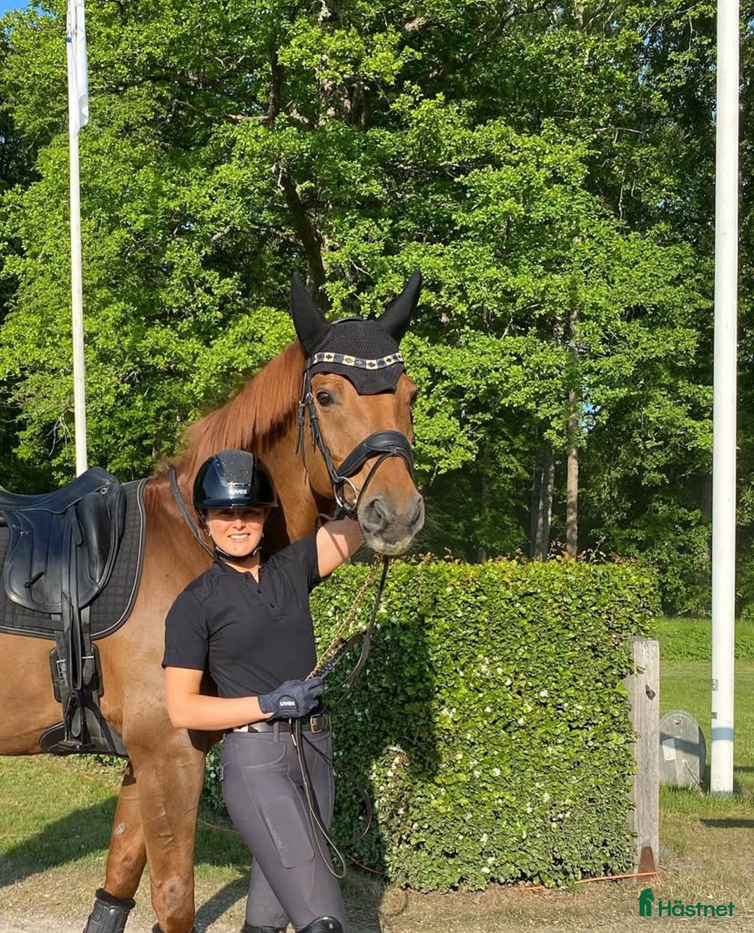 Dressyr hästar till salu: Läromästare U25 GP-häst med mästerskapsmeriter i Uppsala - Annons 2