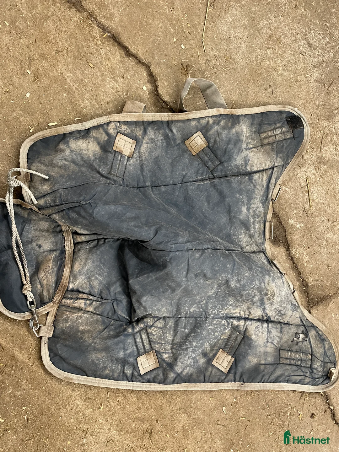 Täcken hästutrustning till salu: Horseware storlek 60 i Sandefjord - Annons 4