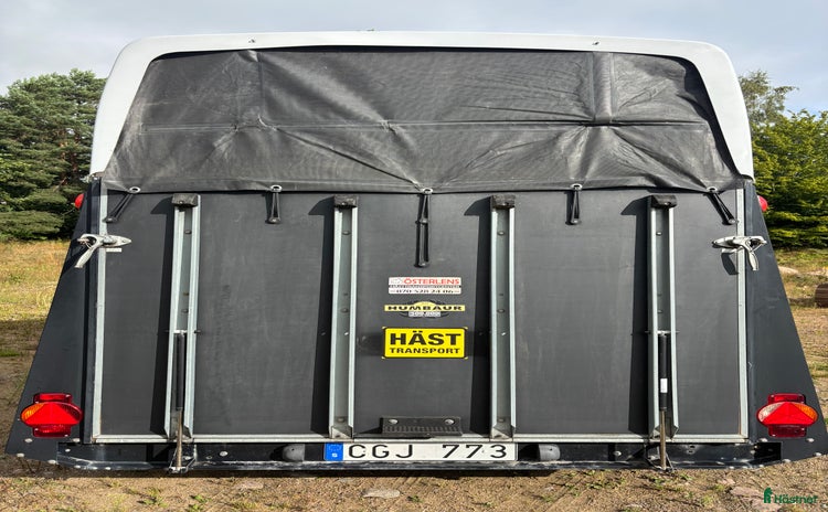 Hästtransporter  fordon & transport till salu i Lerberget - Annons 13