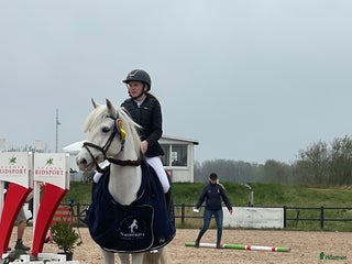 hästar i Göta - Annons 12