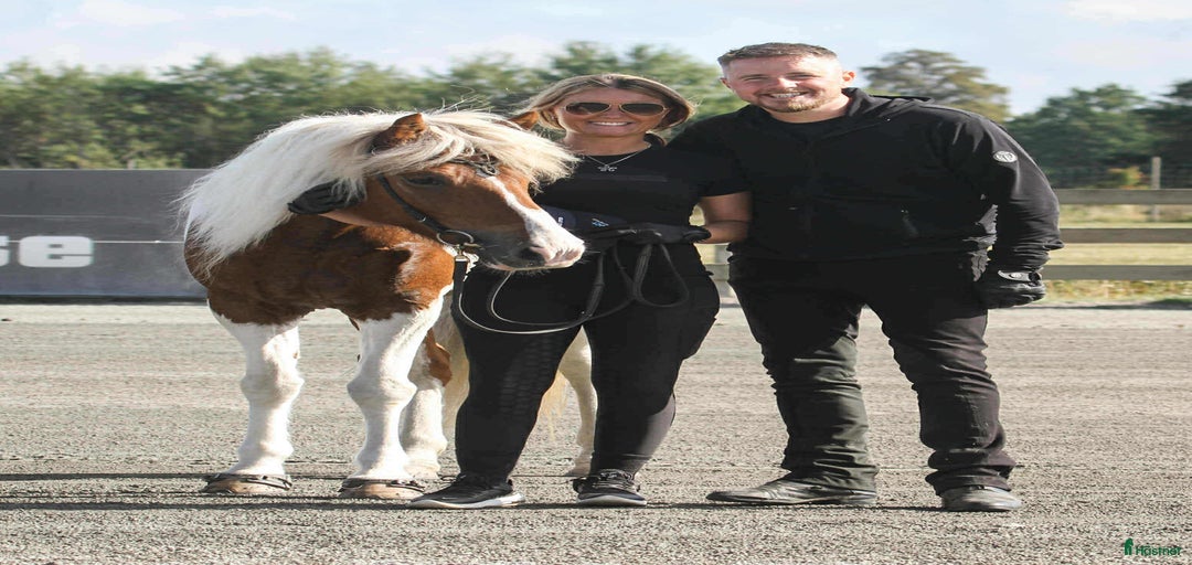 Galleribild {{count}}