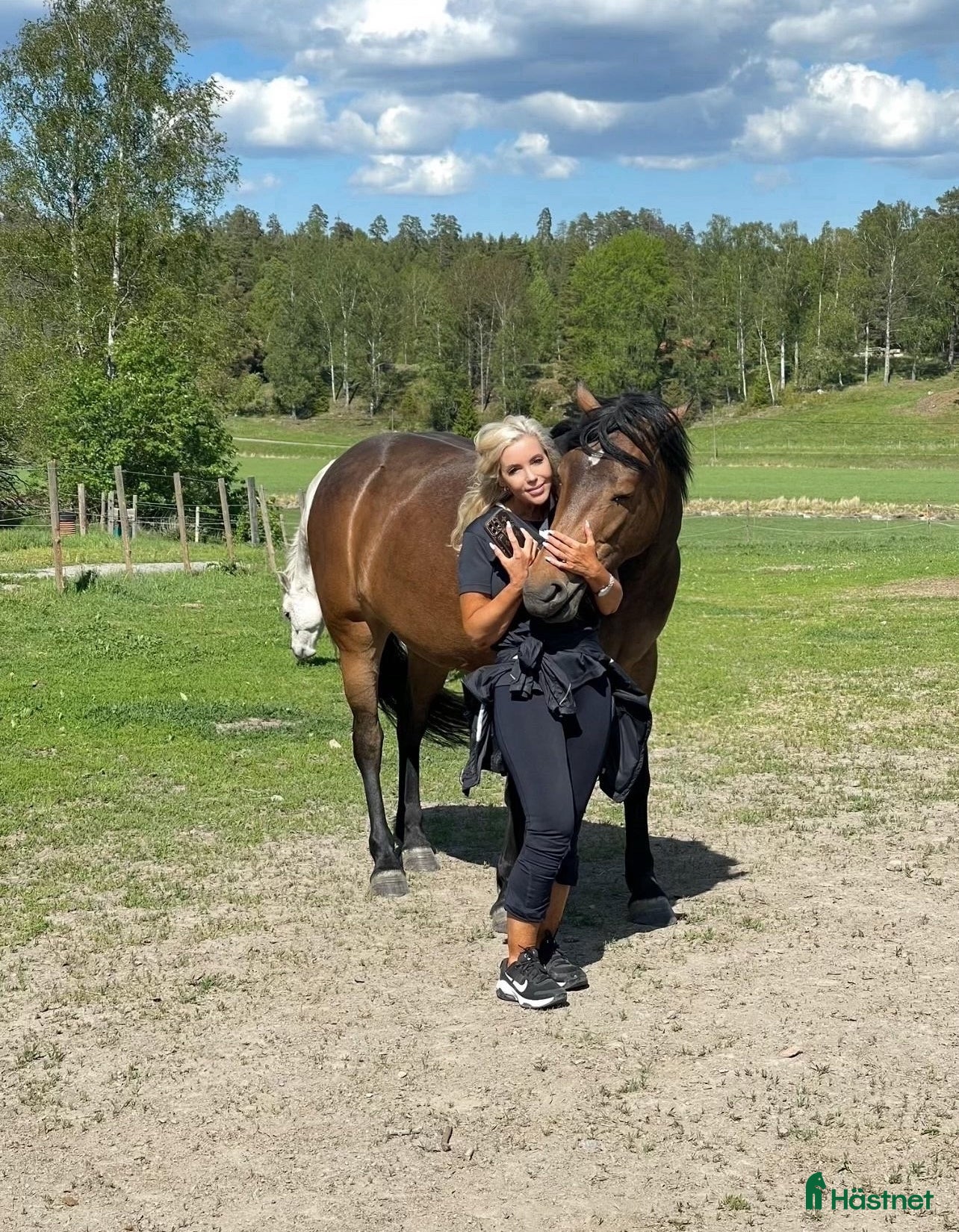 Allround hästar till salu: PRINCESS ROYAL LEGACY -fantastiskt sto m potential i Gnesta - Annons 8