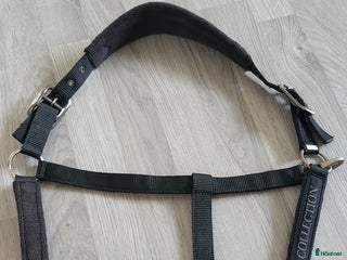 Övrig Hästutrustning hästutrustning till salu: JH Collection Grimma i Åhus - Annons 4