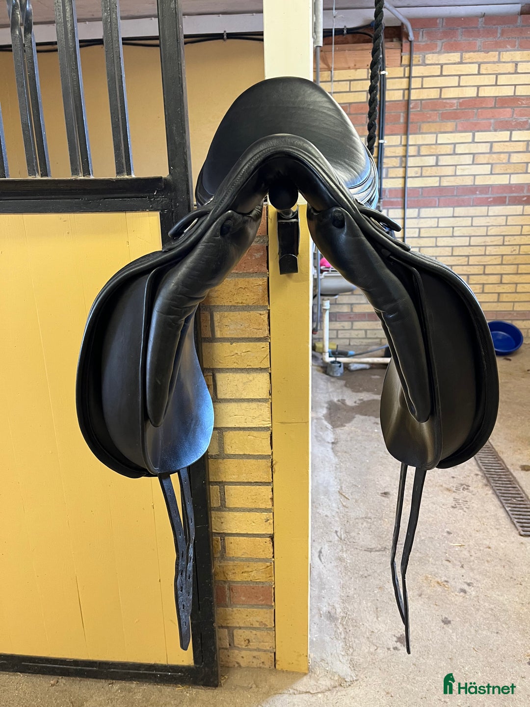 Sadlar hästutrustning till salu: Mkt fin Jaguar i Uppsala - Annons 4