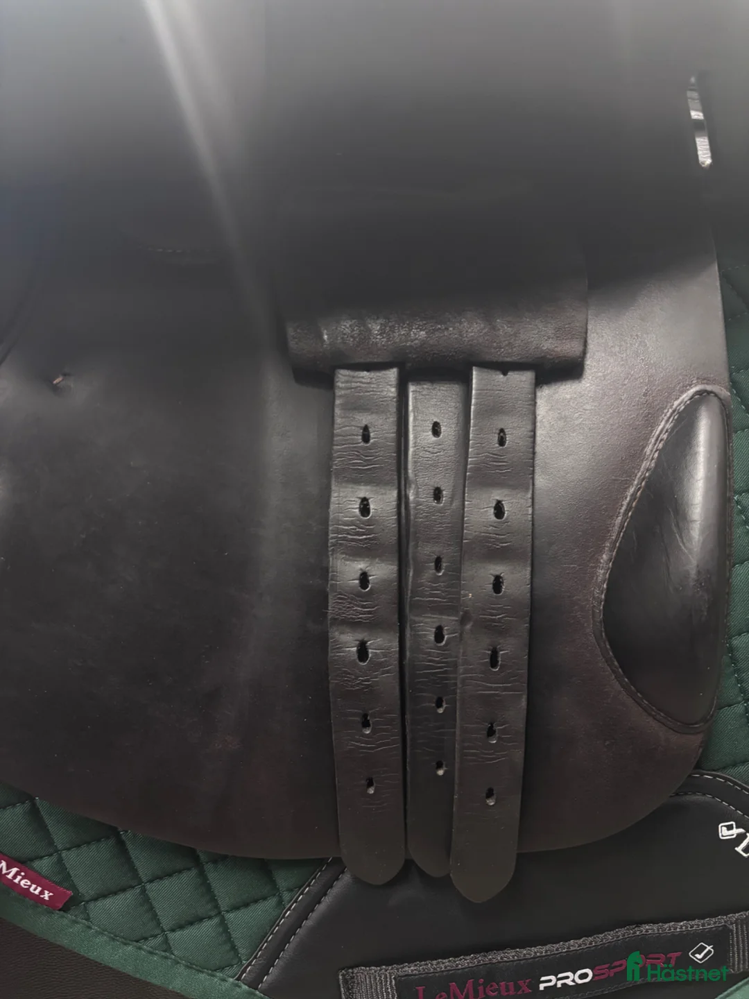 Sadlar hästutrustning till salu: Butet 17,5” - Annons 4