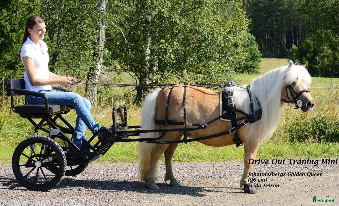 Körvagnar körning till salu: Svart Rockard med svängel från Drive Out  - Annons 2