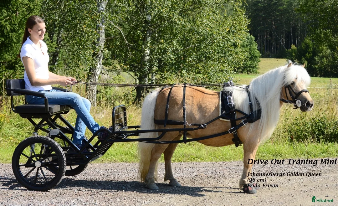 Körvagnar körning till salu: Svart Rockard med svängel från Drive Out  - Annons 1