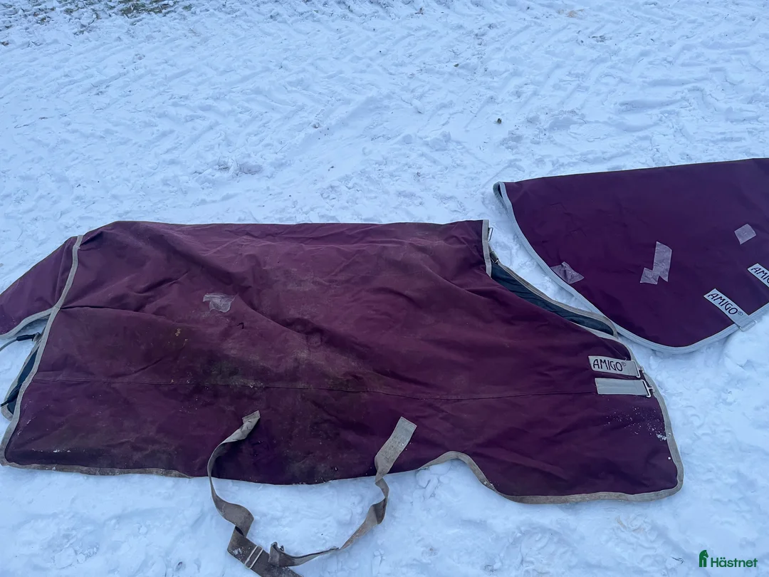 Täcken hästutrustning till salu: Amigo täcke  i Södertälje - Annons 2