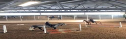  stallplats finnes: 🌟 Nybackgård har lediga platser 🌟 - Annons 3