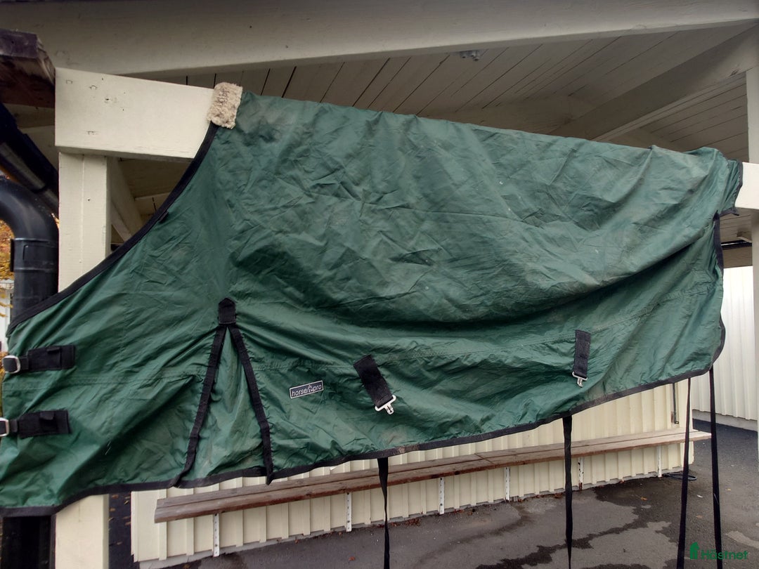 Täcken hästutrustning till salu: Fräscht grönt hästtäcke  i Kista - Annons 4