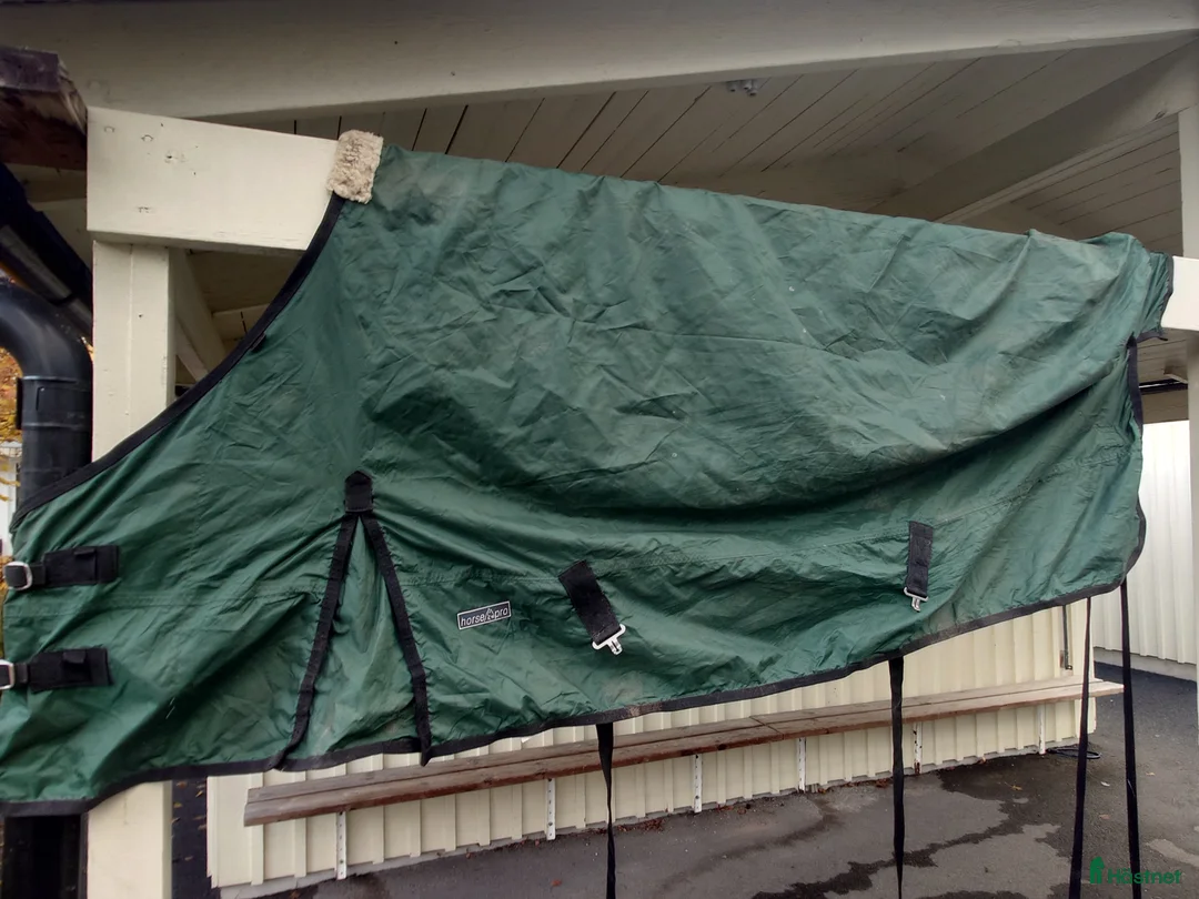 Täcken hästutrustning till salu: Fräscht grönt hästtäcke  i Kista - Annons 4