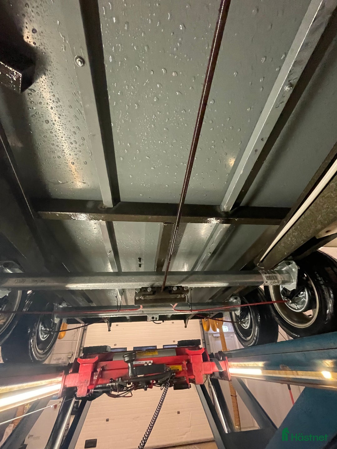 Hästtransporter  fordon & transport till salu: Renoverad Star Safir med frontutlast Nybesikt ua i Hisings Kärra - Annons 4