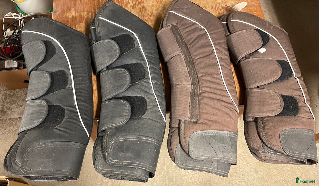 Benskydd hästutrustning till salu: Nya transportskydd (lappar kvar) i Vallberga - Annons 1