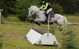 Fälttävlan hästar till salu: Erfaren Fälttävlans- & hopp ponny  i Vallentuna - Annons 5