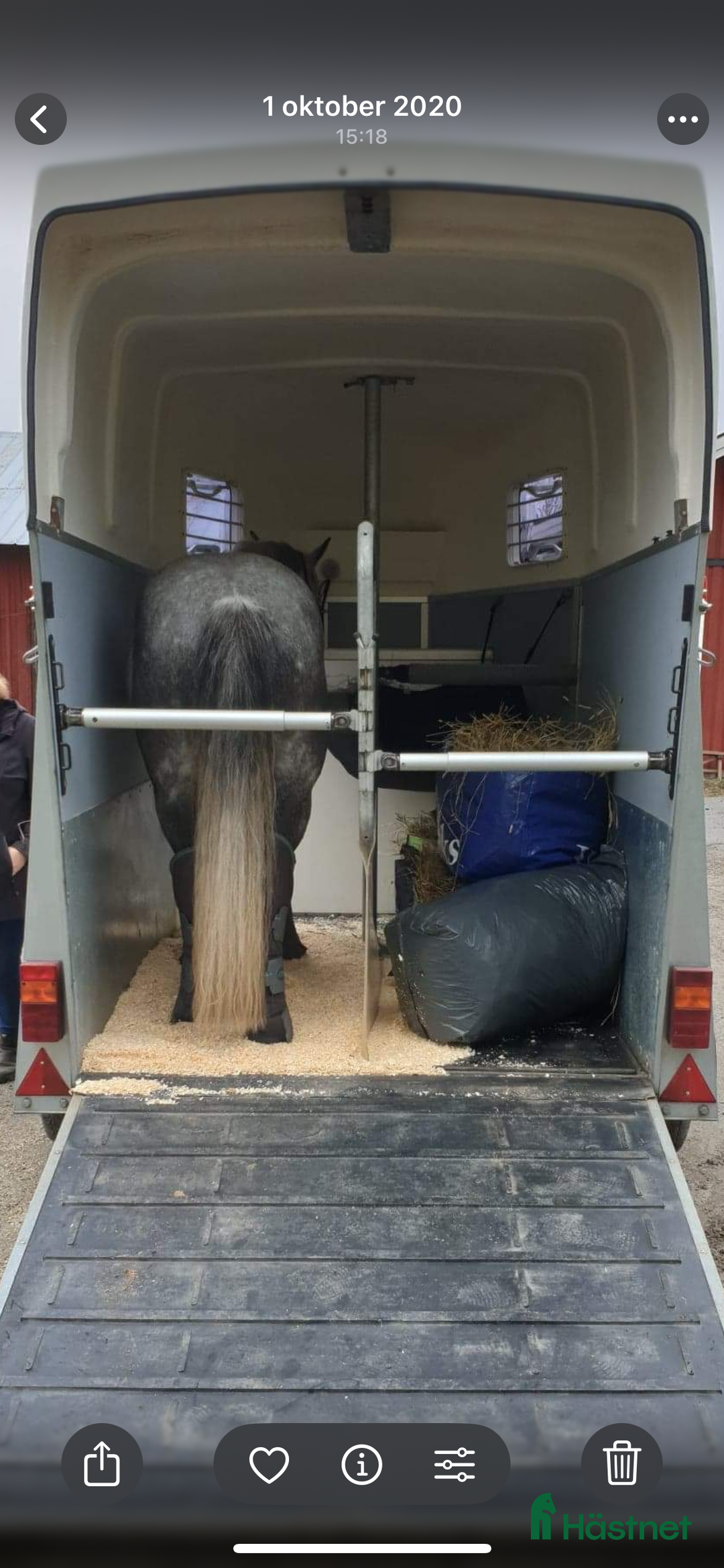 Hästtransporter  fordon & transport till salu: Thule Royal 135 i Krylbo - Annons 3