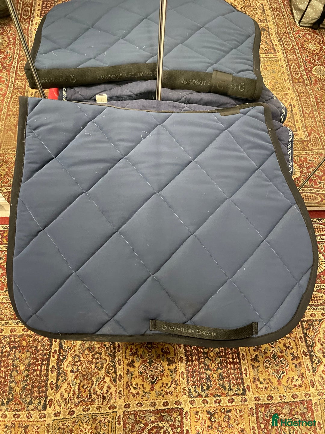 Schabrak & Vojlockar hästutrustning till salu: Säljer Cavalleria Toscana schabrak i Norrtälje - Annons 2